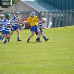 2012-04-15 Junior Camogie League v Tallow in Mount Sion (Won) (52)
