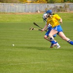 2012-04-15 Junior Camogie League v Tallow in Mount Sion (Won) (57)