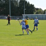 2012-04-15 Junior Camogie League v Tallow in Mount Sion (Won) (6)