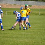 2012-04-15 Junior Camogie League v Tallow in Mount Sion (Won) (60)