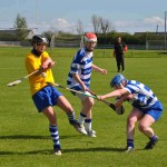 2012-04-15 Junior Camogie League v Tallow in Mount Sion (Won) (62)