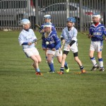 2012-04-20 Under 11 City League v Roanmore in Mount Sion (Lost) (11)