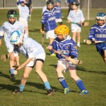 2012-04-20 Under 11 City League v Roanmore in Mount Sion (Lost) (21)