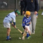 2012-04-20 Under 11 City League v Roanmore in Mount Sion (Lost) (7)