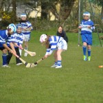 2012-04-21 Under 12 Camogie Blitz in Dunhill (13)
