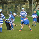 2012-04-21 Under 12 Camogie Blitz in Dunhill (14)