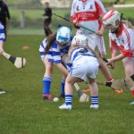 2012-04-21 Under 12 Camogie Blitz in Dunhill (19)