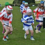 2012-04-21 Under 12 Camogie Blitz in Dunhill (22)