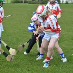 2012-04-21 Under 12 Camogie Blitz in Dunhill (23)