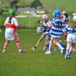 2012-04-21 Under 12 Camogie Blitz in Dunhill (24)