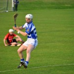 2012-04-23 Senior Challenge v Oulart The Ballagh in Mount Sion (Lost) (16)