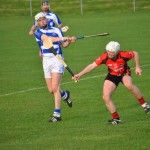 2012-04-23 Senior Challenge v Oulart The Ballagh in Mount Sion (Lost) (18)