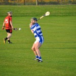 2012-04-23 Senior Challenge v Oulart The Ballagh in Mount Sion (Lost) (22)
