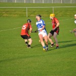 2012-04-23 Senior Challenge v Oulart The Ballagh in Mount Sion (Lost) (24)