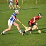 2012-04-23 Senior Challenge v Oulart The Ballagh in Mount Sion (Lost) (31)