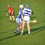 2012-04-23 Senior Challenge v Oulart The Ballagh in Mount Sion (Lost) (32)
