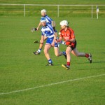 2012-04-23 Senior Challenge v Oulart The Ballagh in Mount Sion (Lost) (39)