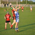 2012-04-23 Senior Challenge v Oulart The Ballagh in Mount Sion (Lost) (42)