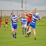 2012-06-10 Senior League v Dunhill in Mount Sion (Won) (3)