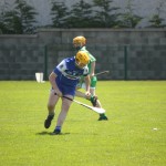 2012-06-24 Under 16 Challenge v Mooncoin in Mooncoin (Lost) (20)