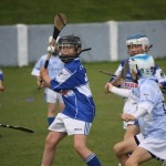 2012-07-14 Under 11 City League Gala Day in Walsh Park (3)