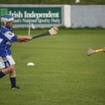 2012-07-14 Under 11 City League Gala Day in Walsh Park (8)