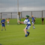 2012-07-16 Under 14 Championship v Portlaw in Mount Sion (Draw) (10)