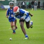 2012-07-16 Under 14 Championship v Portlaw in Mount Sion (Draw) (27)