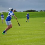 2012-07-16 Under 14 Championship v Portlaw in Mount Sion (Draw) (9)