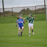 2012-07-19 Under 15 Championship v Clonea in Mount Sion (Won) (1)