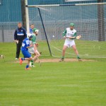 2012-07-19 Under 15 Championship v Clonea in Mount Sion (Won) (10)