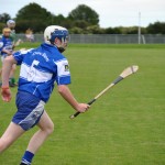 2012-07-19 Under 15 Championship v Clonea in Mount Sion (Won) (11)