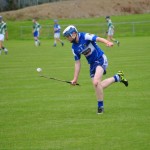 2012-07-19 Under 15 Championship v Clonea in Mount Sion (Won) (12)