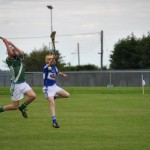 2012-07-19 Under 15 Championship v Clonea in Mount Sion (Won) (13)
