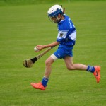 2012-07-19 Under 15 Championship v Clonea in Mount Sion (Won) (14)