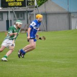 2012-07-19 Under 15 Championship v Clonea in Mount Sion (Won) (15)