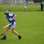 2012-07-19 Under 15 Championship v Clonea in Mount Sion (Won) (16)