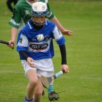 2012-07-19 Under 15 Championship v Clonea in Mount Sion (Won) (17)