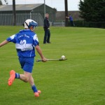 2012-07-19 Under 15 Championship v Clonea in Mount Sion (Won) (18)