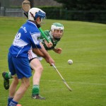 2012-07-19 Under 15 Championship v Clonea in Mount Sion (Won) (19)