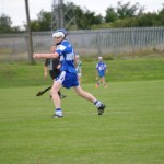 2012-07-19 Under 15 Championship v Clonea in Mount Sion (Won) (24)