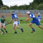 2012-07-19 Under 15 Championship v Clonea in Mount Sion (Won) (28)