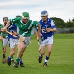 2012-07-19 Under 15 Championship v Clonea in Mount Sion (Won) (30)