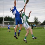 2012-07-19 Under 15 Championship v Clonea in Mount Sion (Won) (31)