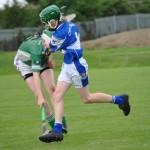 2012-07-19 Under 15 Championship v Clonea in Mount Sion (Won) (32)