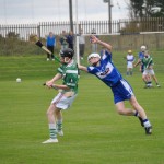 2012-07-19 Under 15 Championship v Clonea in Mount Sion (Won) (5)