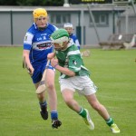 2012-07-19 Under 15 Championship v Clonea in Mount Sion (Won) (6)