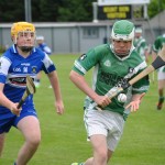 2012-07-19 Under 15 Championship v Clonea in Mount Sion (Won) (7)