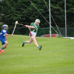 2012-07-19 Under 15 Championship v Clonea in Mount Sion (Won) (8)