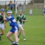 2012-07-19 Under 15 Championship v Clonea in Mount Sion (Won) (9)